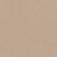 Ковролин Radici Nexus Nocciola 8219 фото 1 | FLOORDEALER